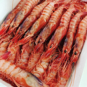Gamba Roja Alistada (€/Kg) 38/40 Piezas