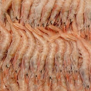 Gamba Blanca Calibre 70-75 Piezas  (€/Kg)
