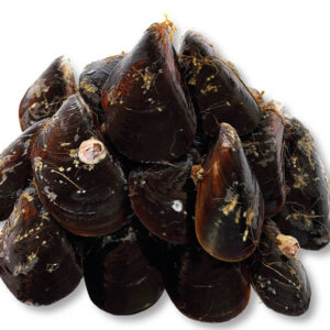 Mejillones Gallegos Frescos (€/Kg)