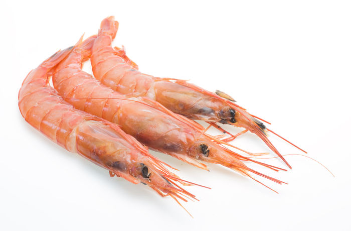 Gamba Blanca Calibre 70-75 Piezas (€/Kg) - Imagen 2